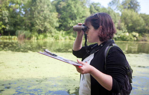 Participant Resources for Climate Watch