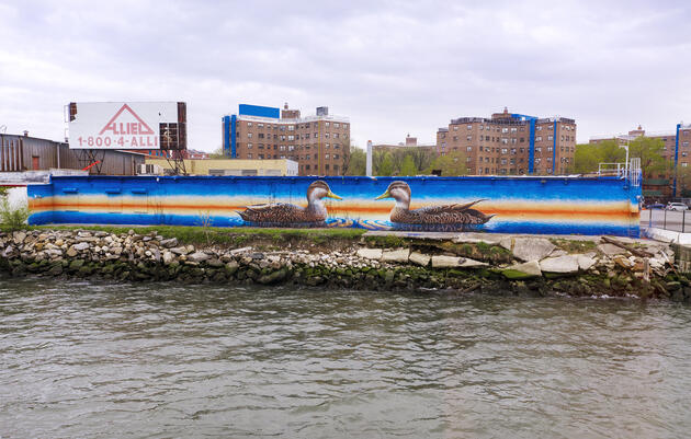 The mural as seen from the East River off Astoria, Queens. Mike Fernandez/Audubon