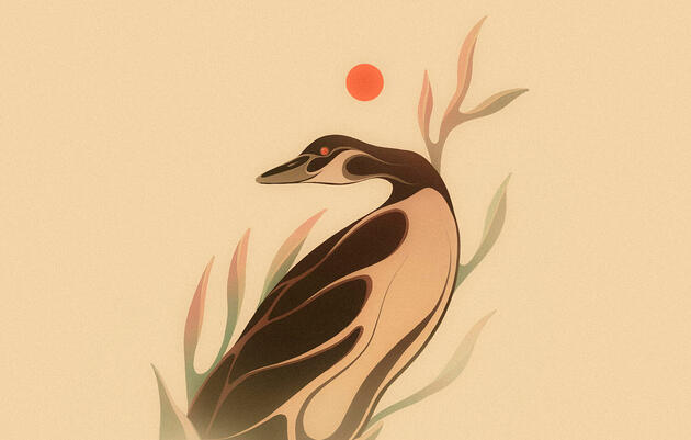 Reimagining the Canada Goose