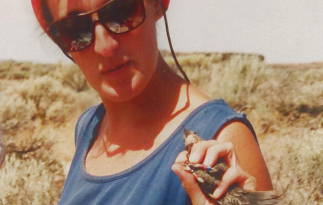 Elizabeth Gray bands a female Redwinged Blackbird during her graduate field studies.