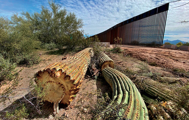 The Border Wall Has Been 'Absolutely Devastating' for People and Wildlife