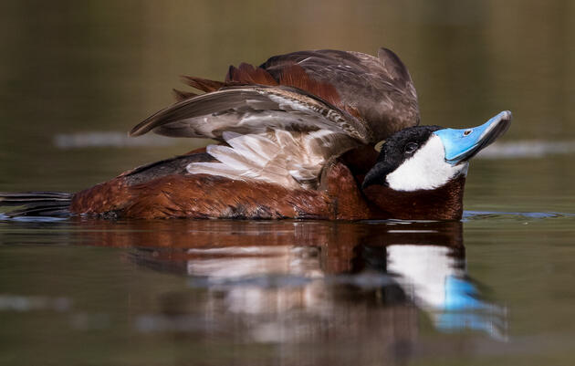 Water and Natural Infrastructure Get Major Boost in End-of-Year Deal