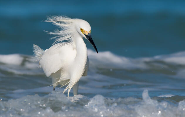 Modernizing the Ocean Energy Economy