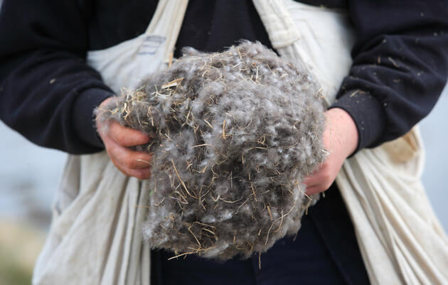 Everything You Need to Know About Buying Ethically Sourced Down Products