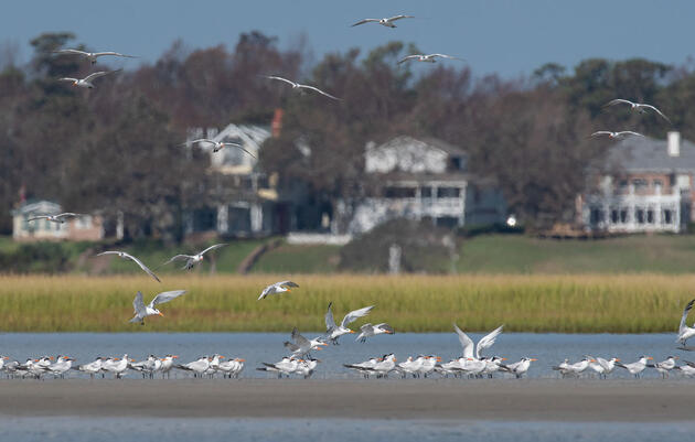 A Record-breaking Year of Storms Calls for Big Investments on Our Coasts