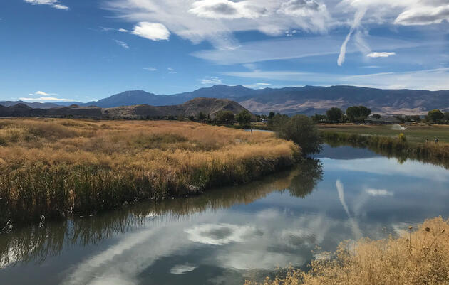 The former Rosewood Lakes Golf Course and future Truckee Meadows Nature Study Area. Courtesy of Truckee Meadows Parks Foundation