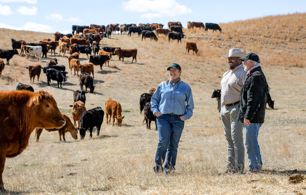 Of Burgers and Birds: A Partnership That Nearly Doubles Audubon's Impact on Ranches across the Country