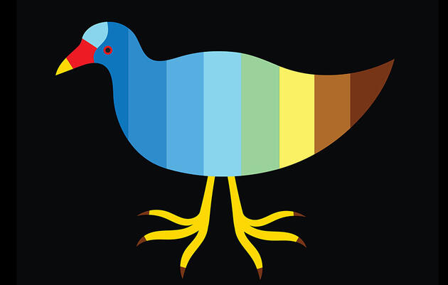 Reimagining the Purple Gallinule