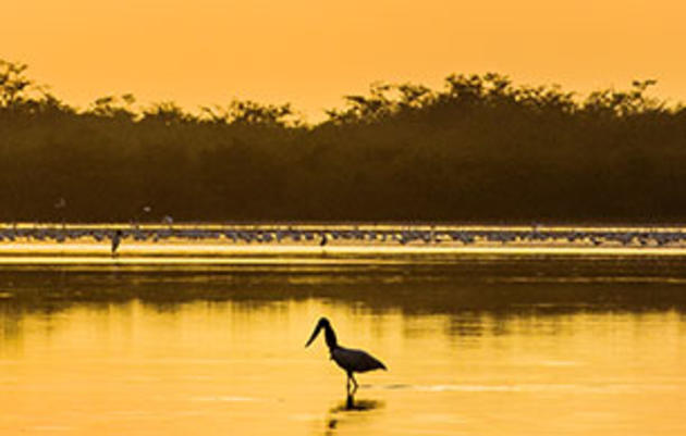In Belize, Finding a Balance Between Conservation and Community Needs