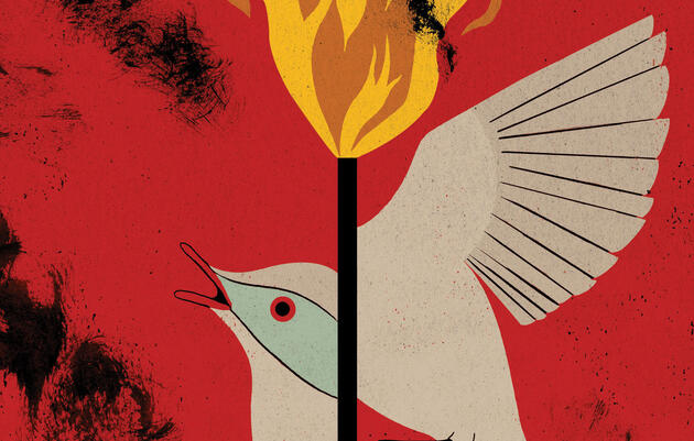 La ley sobre aves más importante del país necesita una reforma