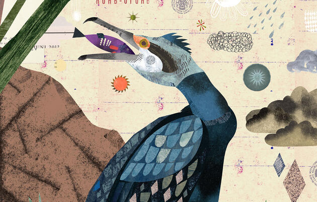 Reimagining the Great Cormorant