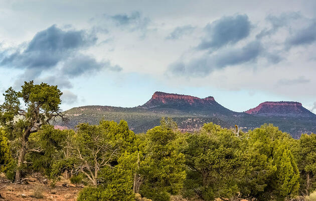 New Plan for Bears Ears National Monument Draws Fire over Tree-Clearing
