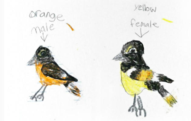 Kids Welcome Birds Back With Precious Postcards