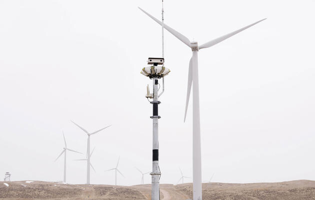 De qué modo la nueva tecnología convierte a los parques eólicos en lugares más seguros para las aves