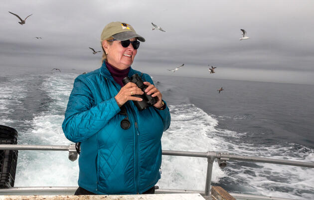 Birds Saved Debi Shearwater. Is She Really Going to Call it Quits?