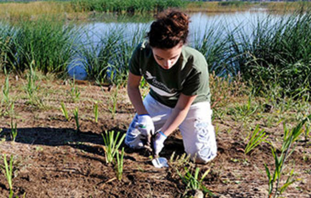 El lago Onondaga de Nueva York, otrora un estofado tóxico, muestra signos de vida