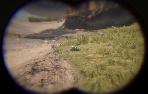 Birding Like It’s 1899: Inside a Blockbuster American West Video Game