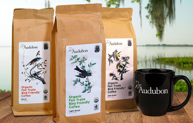 Coffee Produced in Bird-Friendly Habitats
