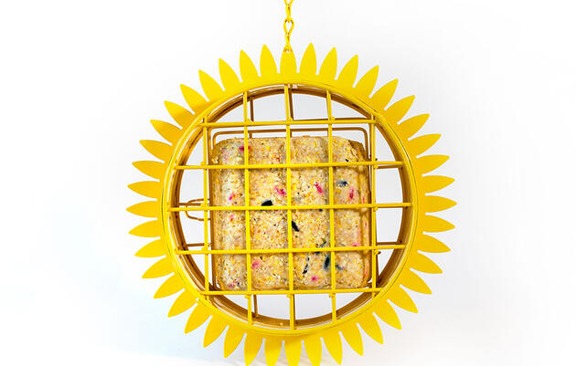 Sunflower Suet Bird Feeder Lowe's Red River NAS