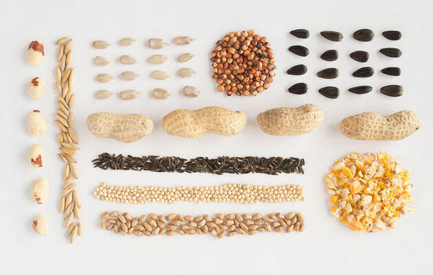 Audubon Bird Seed