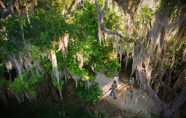 Beloved Wildlife Sanctuaries in Limbo as Trump Declares Border Emergency
