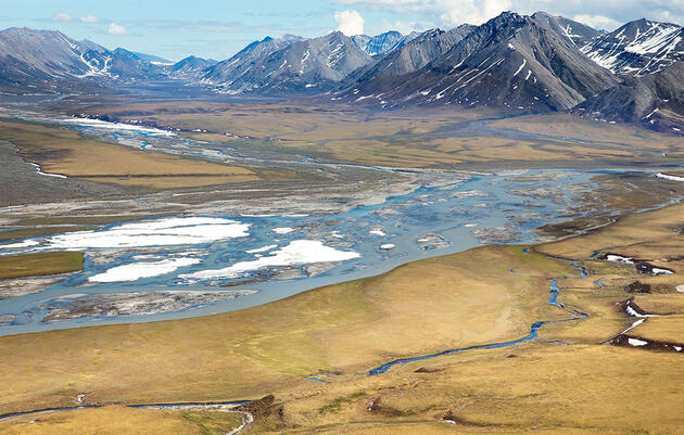 Amid Contradiction and Controversy, Plans Proceed for Arctic Refuge Lease Sale  