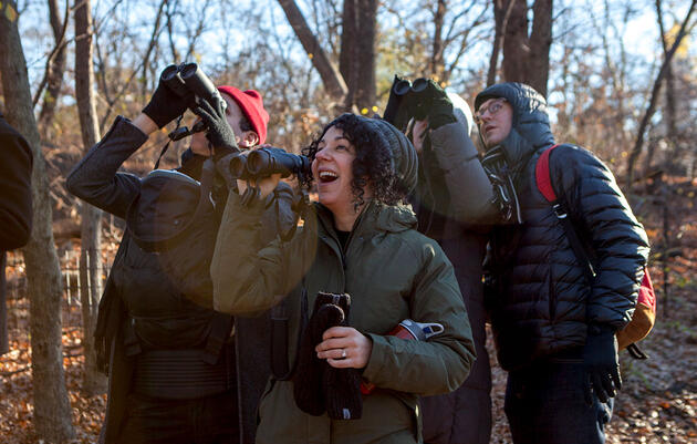 Everything You Need to Know to Do a Free (and Fun) Christmas Bird Count