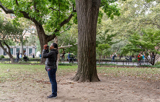 Want a Training Ground for Your Birding Skills? Try Patch Birding