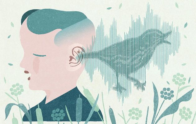 Birding Blind: Open Your Ears to the Amazing World of Bird Sounds