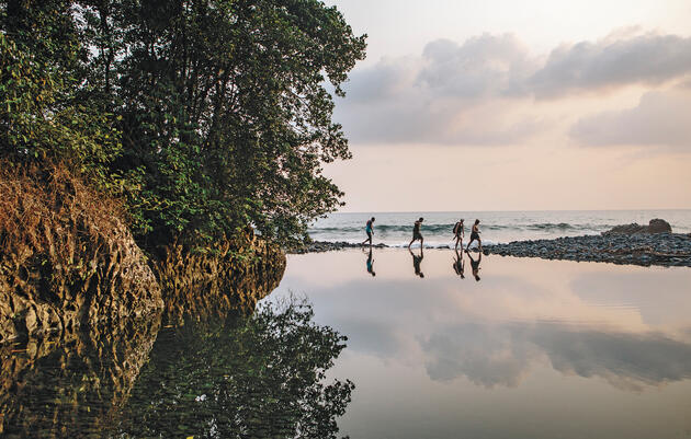 Members of the Biodiversity Initiative on an expedition in Bioko, Equatorial Guinea. Tristan Spinski
