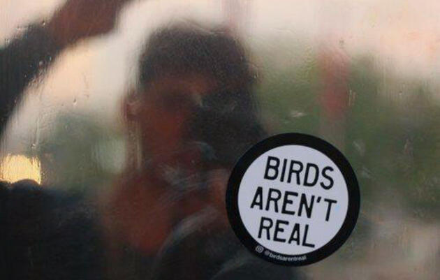 Are Birds Actually Government-Issued Drones? So Says a New Conspiracy Theory Making Waves (and Money)