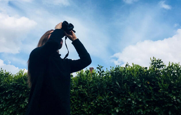 An Annual Birding Competition Adapts to the Pandemic By Going Global