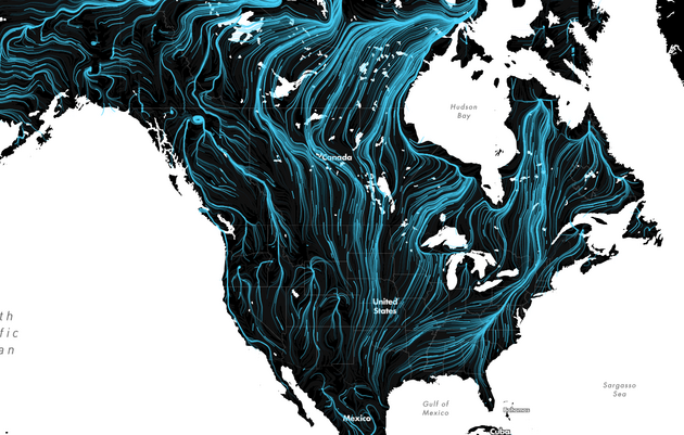 These Amazing Maps Show How Wildlife Will Migrate to Survive Climate Change