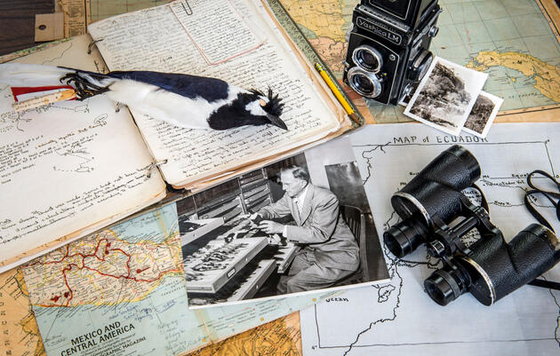 How Birding Lists of the Deceased Are Finding New Life on eBird