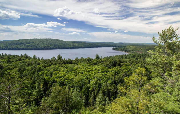Boreal forest in Ontario, Canada. Karen Burgess/Alamy