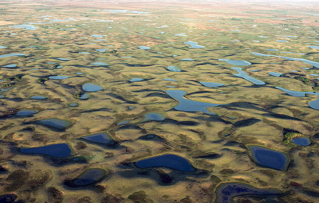La Reglamentación Sobre las Aguas de los Estados Unidos (WOTUS): Qué es y por qué es importante