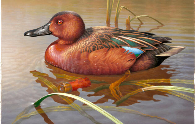 Duck Stamp Artists Turn to Spent Shotgun Shells to Meet New Pro-Hunting Mandate