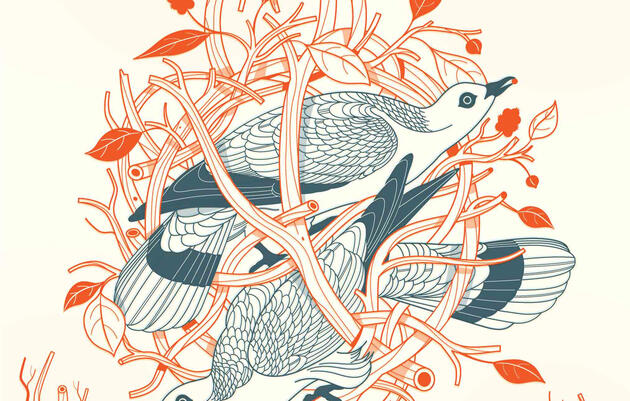 Illustration: Harry Campbell