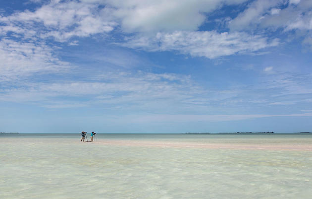Un vistazo tras bastidores al nuevo Plan Estratégico de Audubon