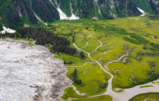 The 17 million acres of ancient trees, glaciers, valleys, and peat bogs in the Tongass offer up a habitat smorgasbord for the myriad species that live there. Mark Meyer