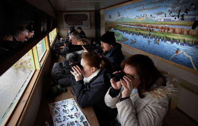In a blind at a Royal Society for Protection of Birds (RSPB) reserve at Rainham Marshes, Essex. England. Richard Baker/In Pictures/Corbis