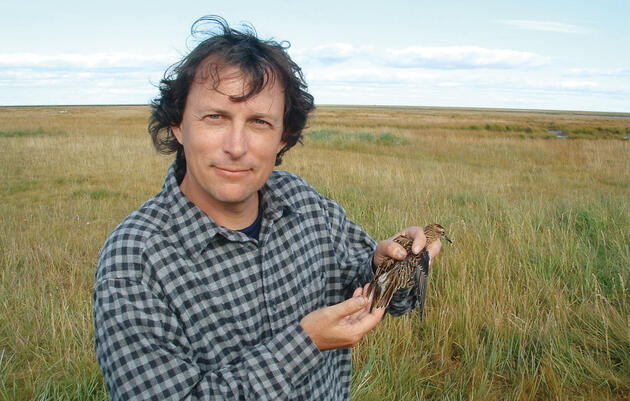 Cómo proteger a las aves en el fin del mundo