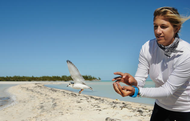 Taking Action On Climate Change Helps Birds Now