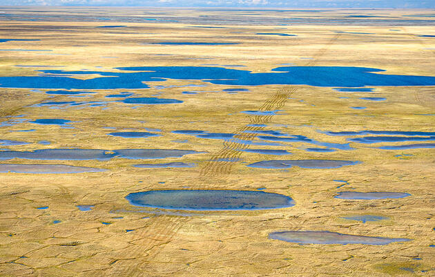 The Public Gets Just Two Weeks to Weigh In on Seismic Testing in the Arctic Refuge