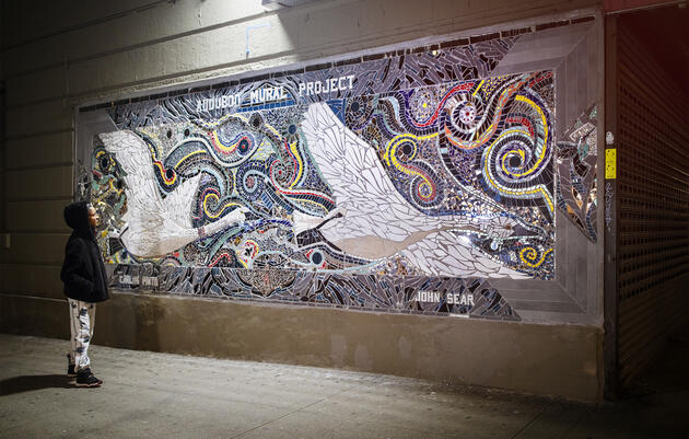 Trumpeter Swan by Carlos Pinto and John Sear