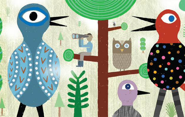 8 Great Summer Birding Trails