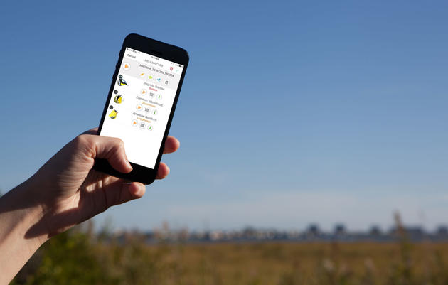 Song Sleuth is the latest birdsong-recognition app for North America. Camilla Cerea/Audubon