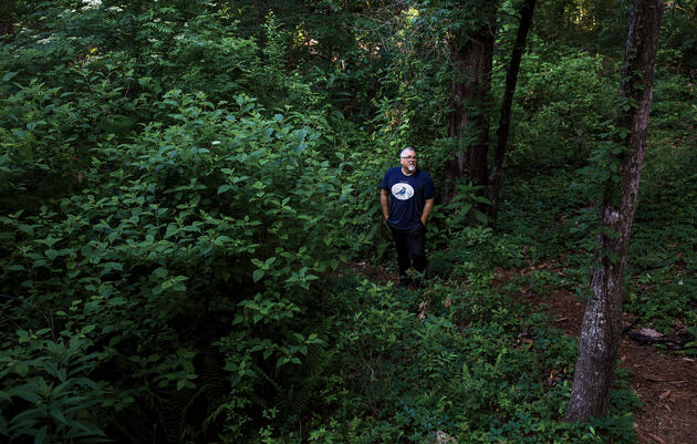 A man with glasses, wearing a blue t-shirt, stands in a forest.