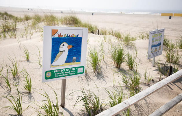 Audubon for Kids | Nature Activities, DIY, Lessons for ...