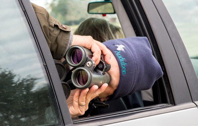 This car does not have eBird, but if it did, it would automatically be much cooler. Camilla Cerea/Audubon